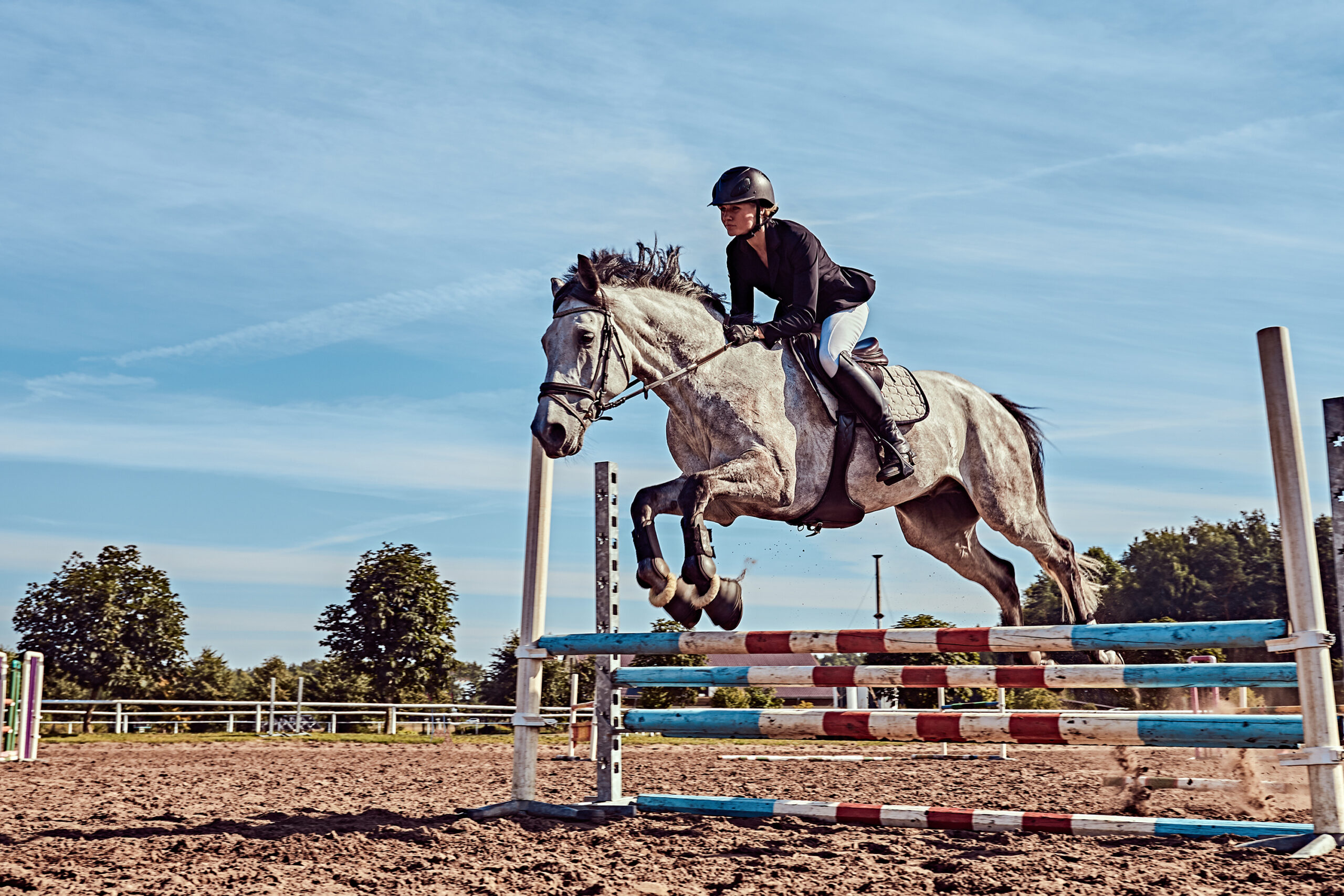 Female jockey on dapple gray horse jumping over hurdle in the open arena.